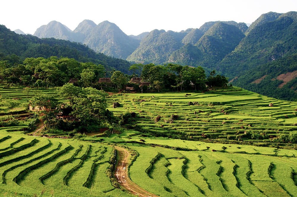 Pu Luong Nationalpark