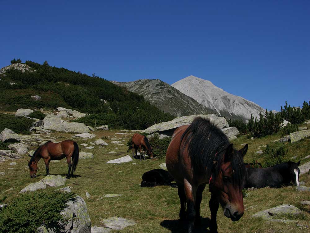 Bulgarien