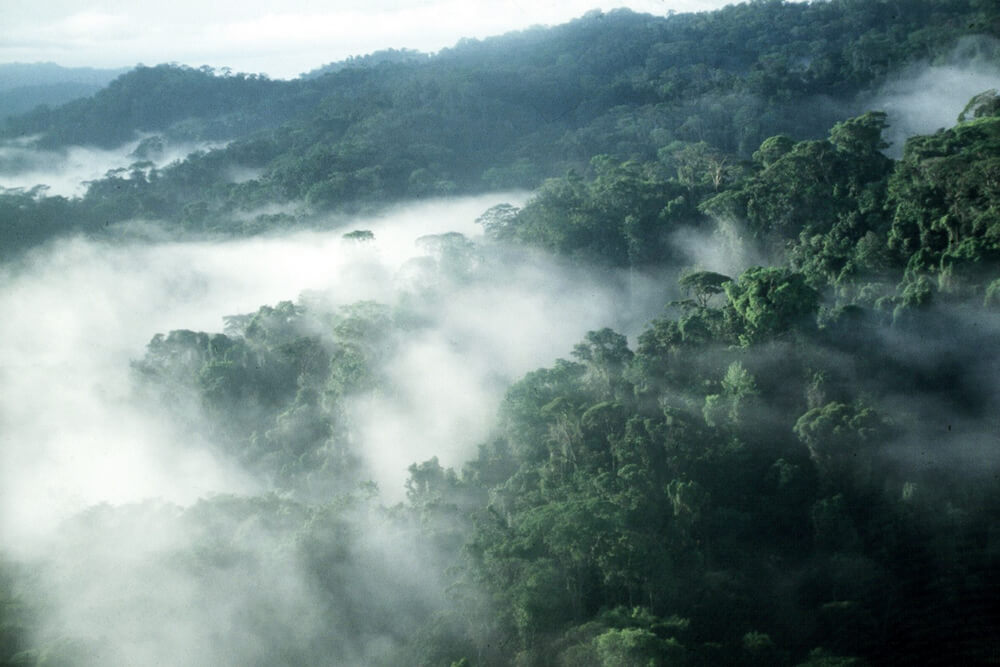 Monte Verde Costa Rica