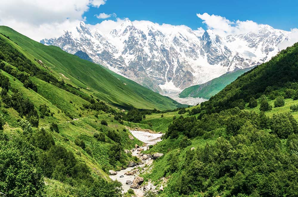 Saftiges Grün im Vordergrund mit schneebedeckten Bergen im Hintergrund - das gibt es in Georgien 