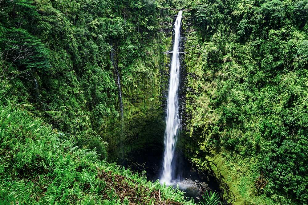 Akaka Wasserfall Hawaii