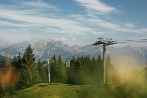 Seilbahn in grüner Waldlandschaft