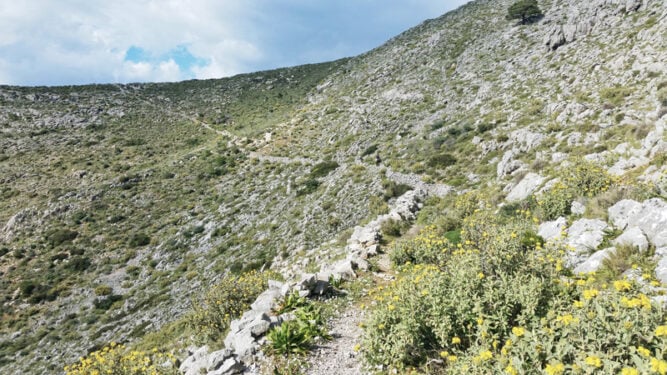 Steiniger schmaler Pfad an einer Bergwand, gelbe Blumen am Wegesrand