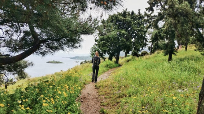 Wanderin inmitten grüner Wiesen mit gelben Blumen. Aussicht aufs Mert