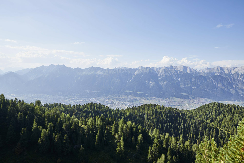 wälder mit stadt und berge im hintergrund