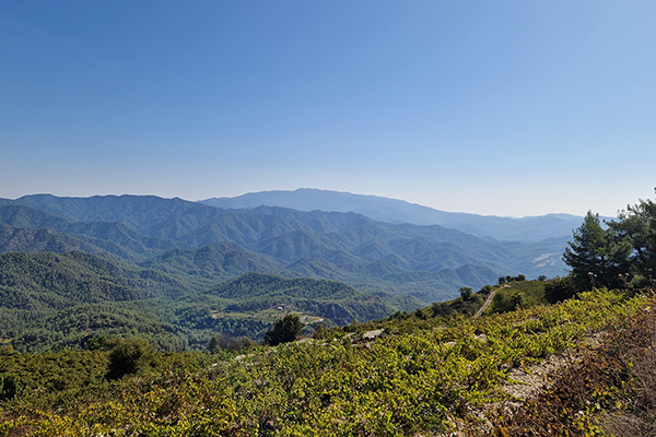 Blick zum höchsten Berg Zyperns, dem Olympos