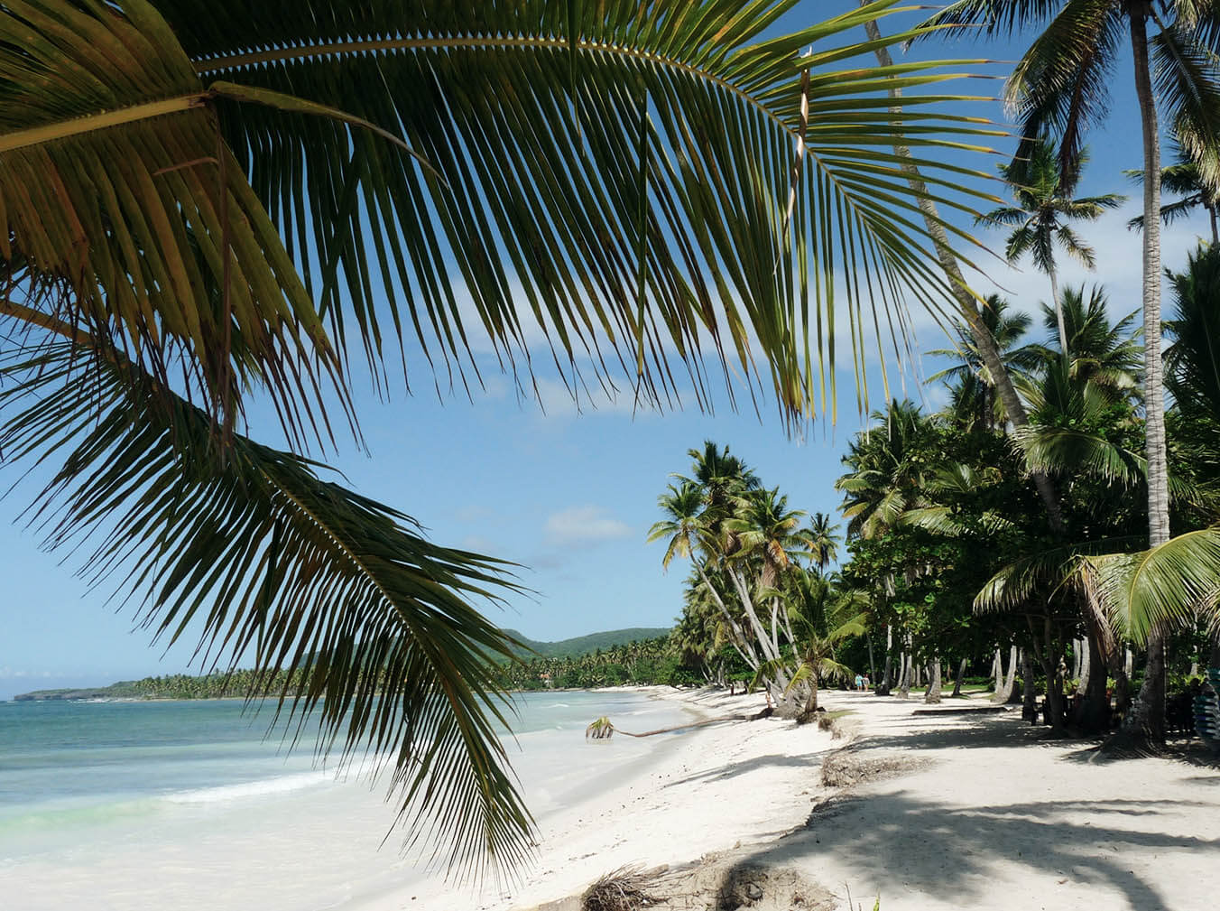 Palmen, Sand und Meer