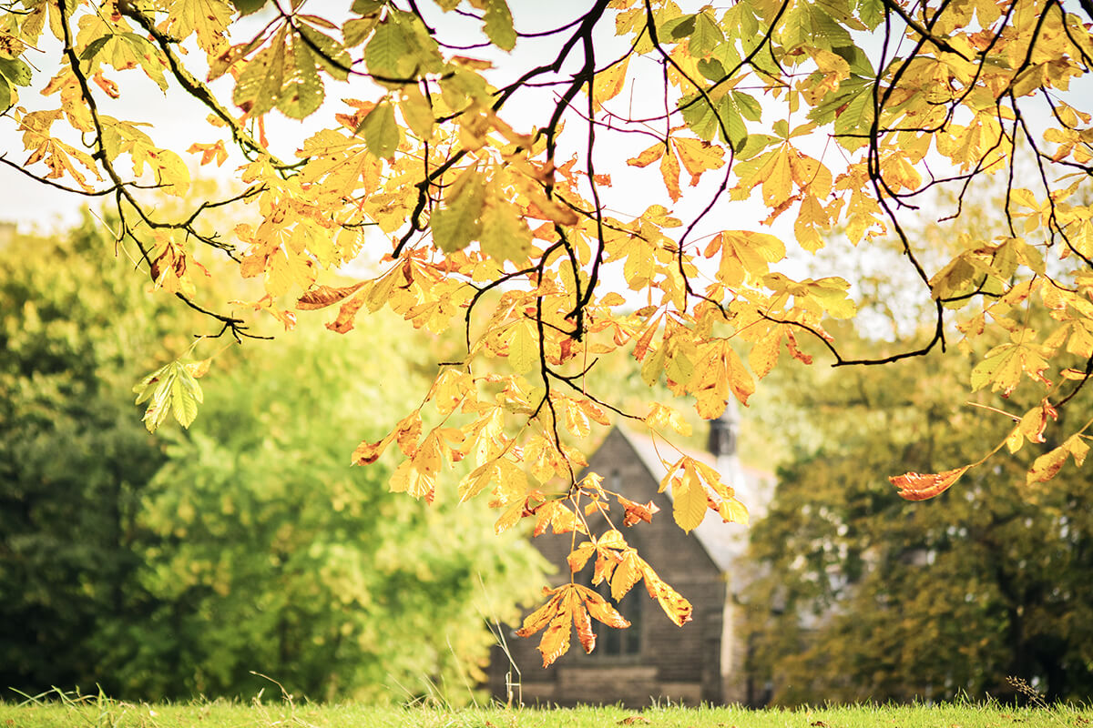 Kontrastreiche Farben im Herbst