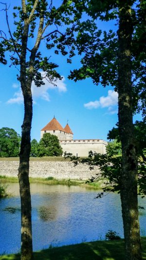 Burg und Fluss