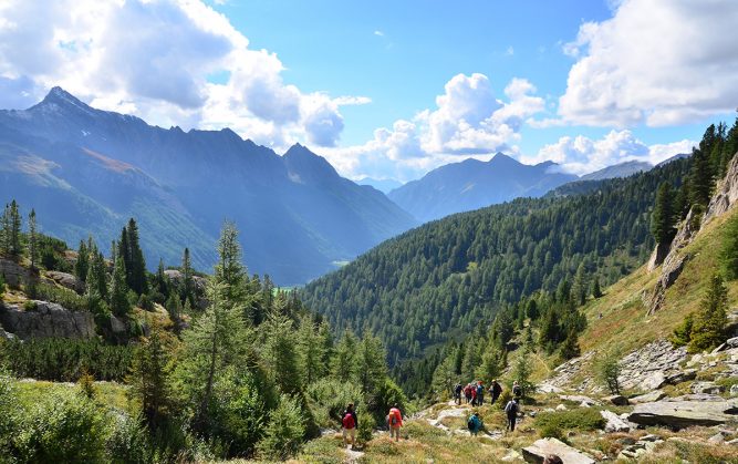 Blick von einer Lichtung auf Wälder im Gebirge. Einige Wanderer sind zu sehen