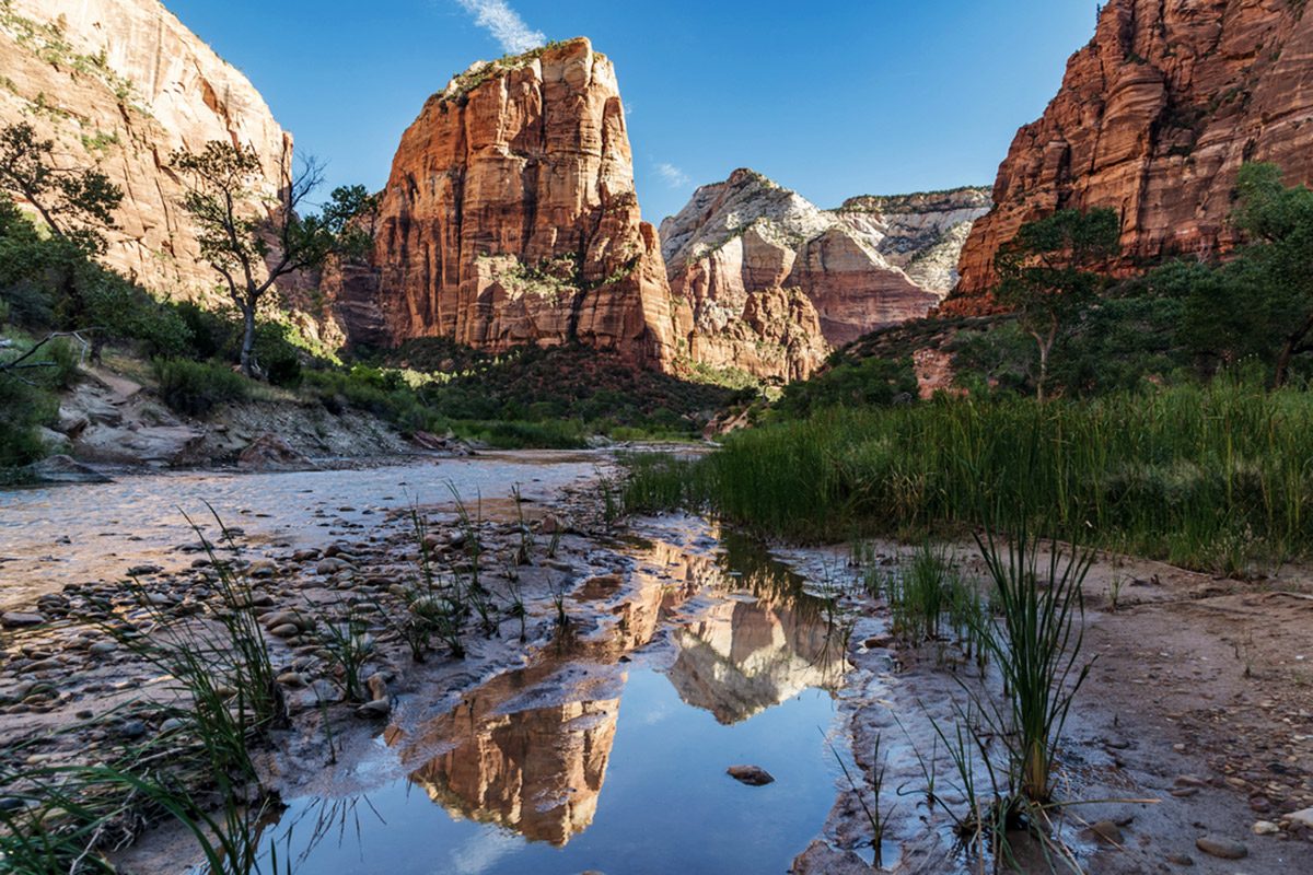 der Virgin River auf dem Weg zu Angels Landing