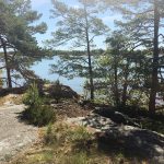 im Nationalpark Stendoerren