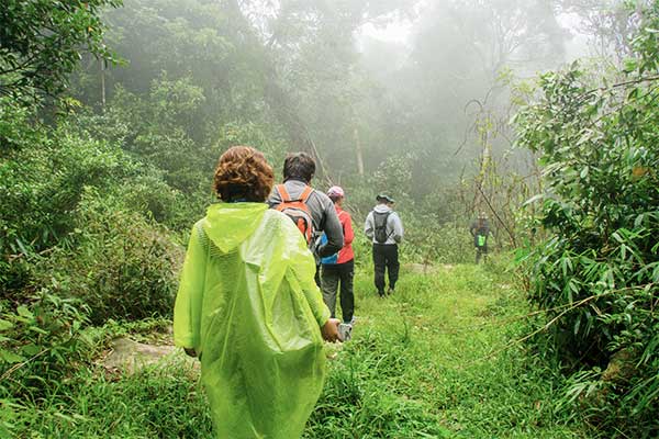 Wanderer im Cuc Phuong National Park