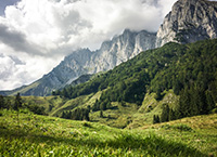 oberhalb der baumgrenze