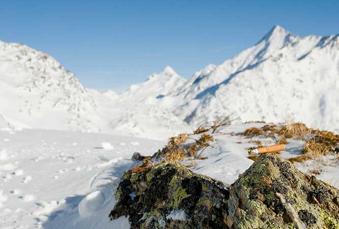 zigarettenstummel-auf-kleinem-felsen