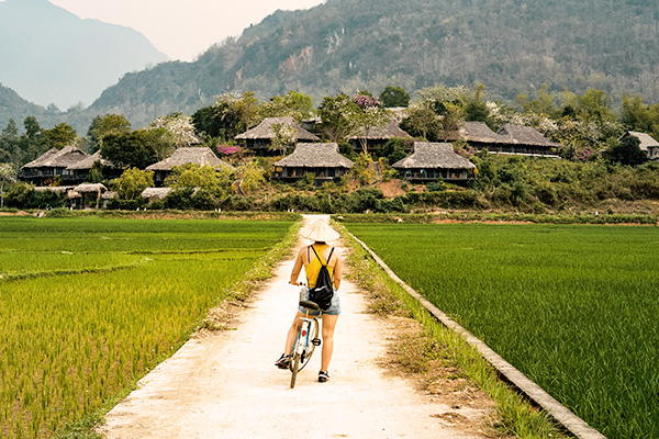 Fahrradfahrerin zwischen Reisfeldern in Vietnam
