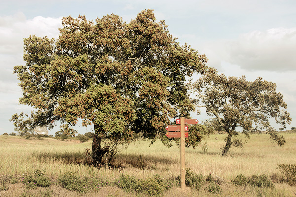 Via Algarviana 