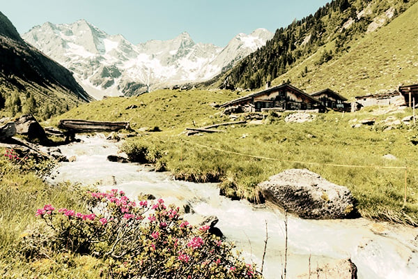 Slow Travel auf einer Alm in den Alpen mit grüner Wiese, pinken Blumen und Hütten vor Bergkulisse