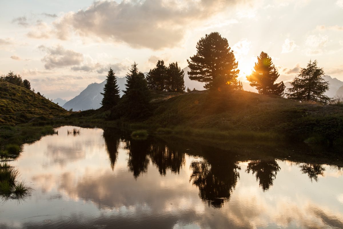 Sonne zwischen den Baumwipfeln