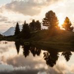 Sonne zwischen Baumwipfeln, die sich im See spiegeln