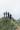 4 frauen am wandern