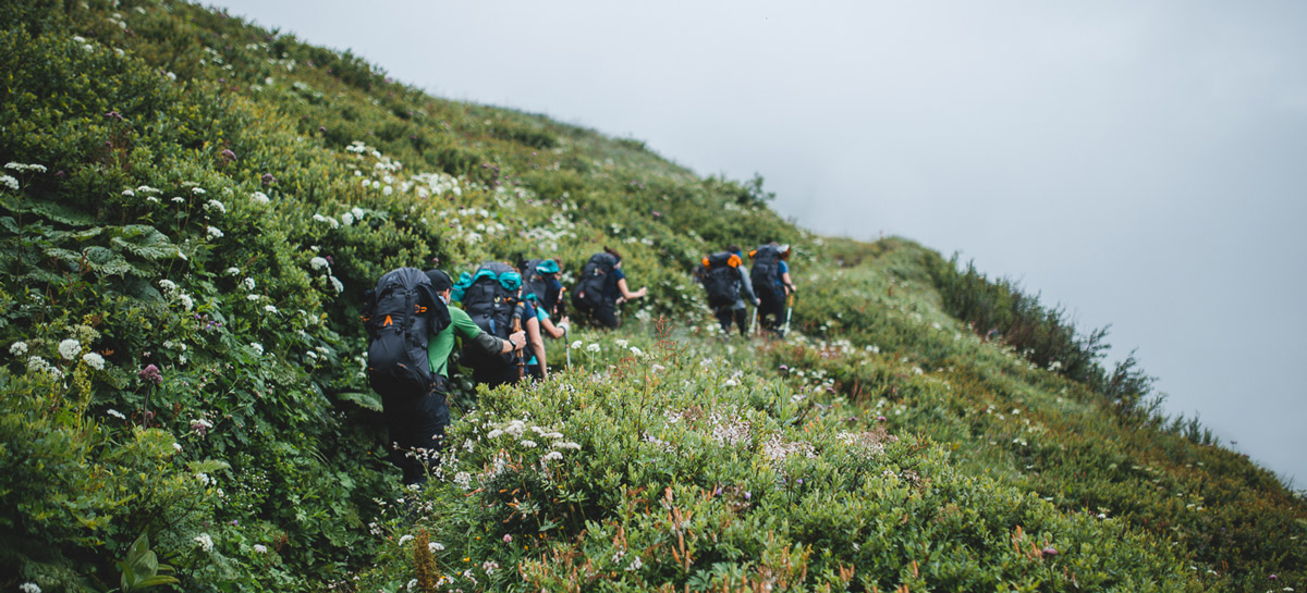 Wandergruppe von hinten, wandert durch Gebüsch