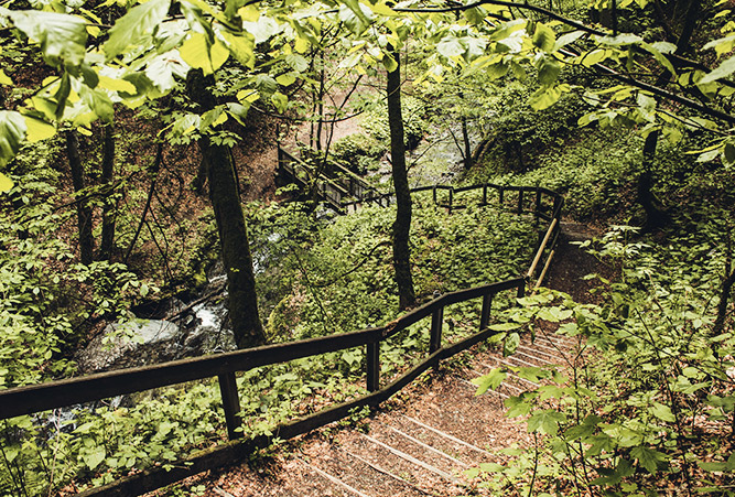 Treppen am Rothaarsteig