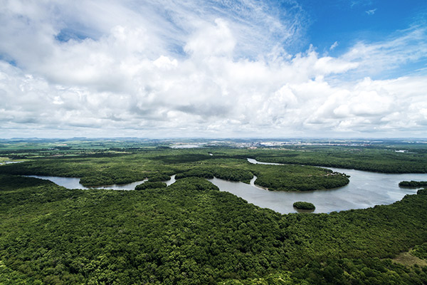 Amazonas, Brasilien