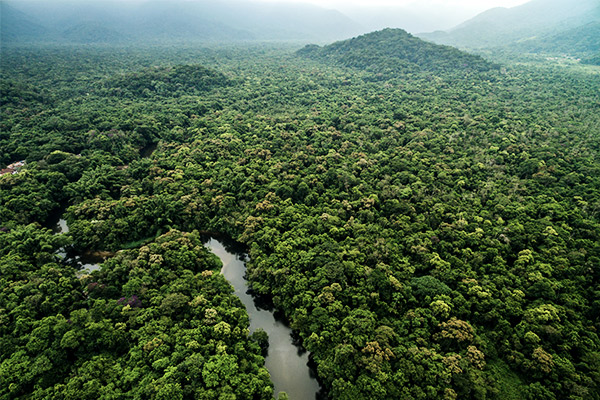 Amazonas Regenwald, Südamerika