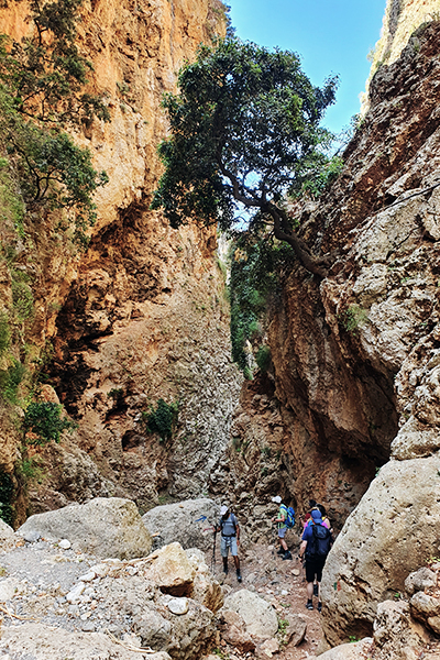 Die Schlucht Aradena auf Kreta