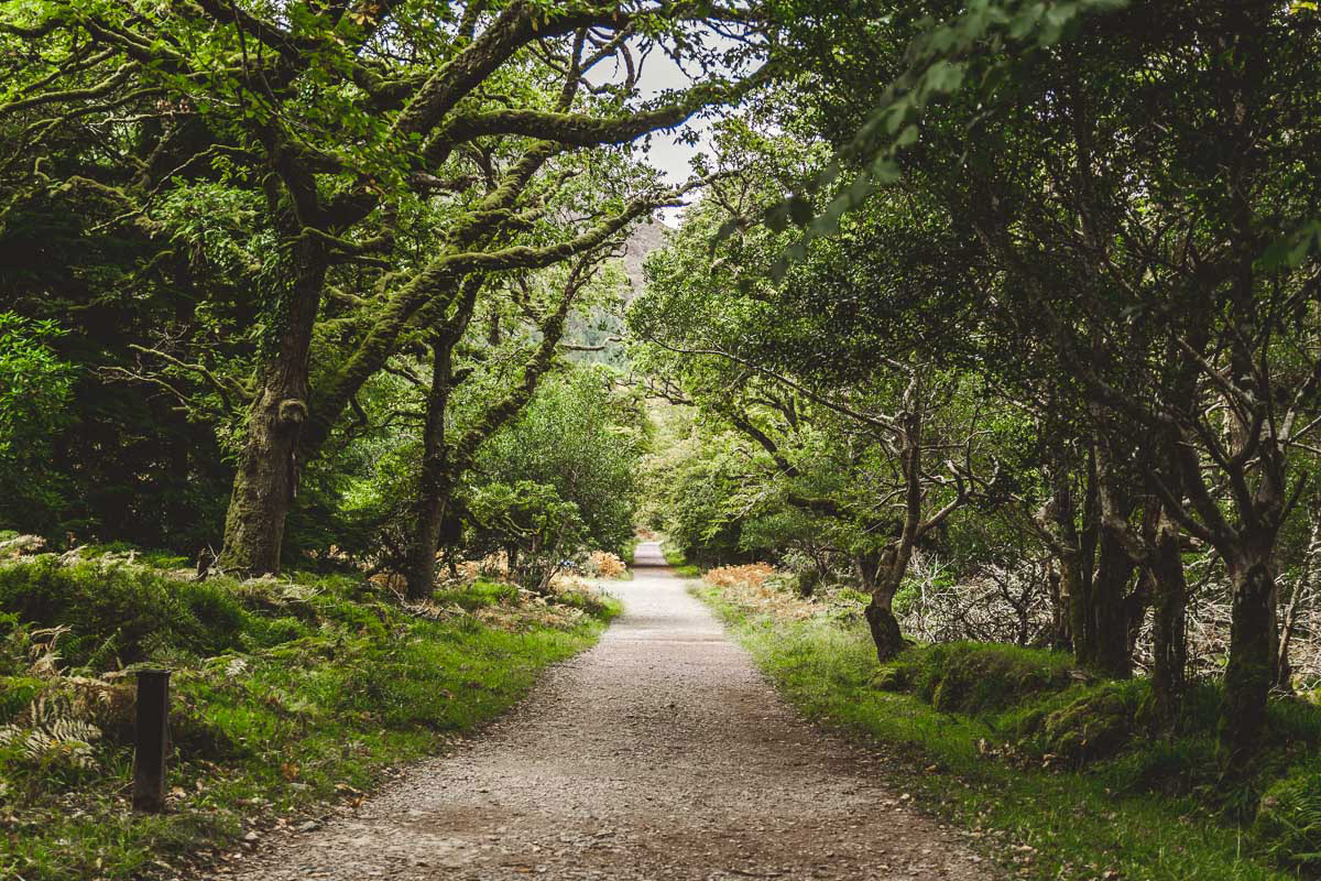 Killarney Nationalpark