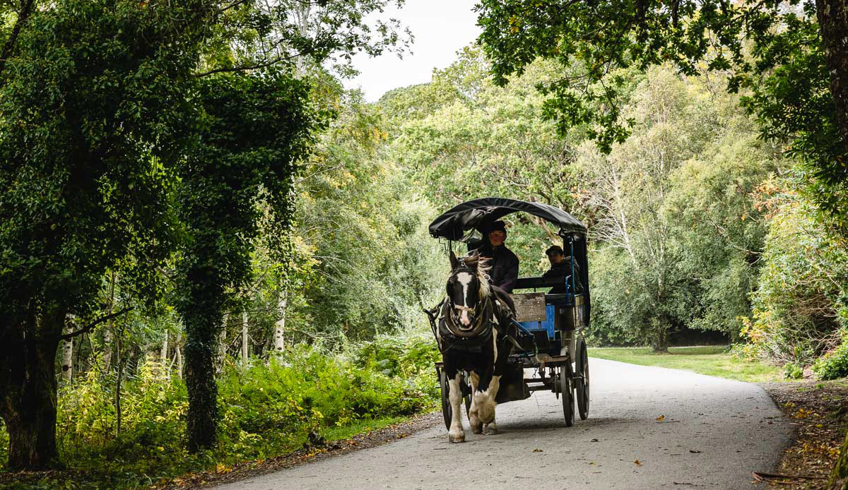 Der Kerry Way beginnt und endet in Killarney