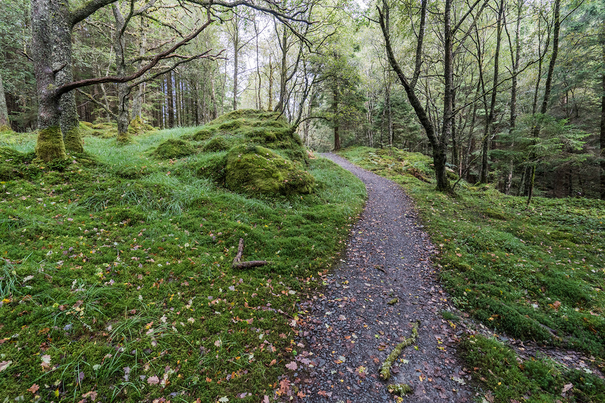 Auf dem Weg nach Rowardennan