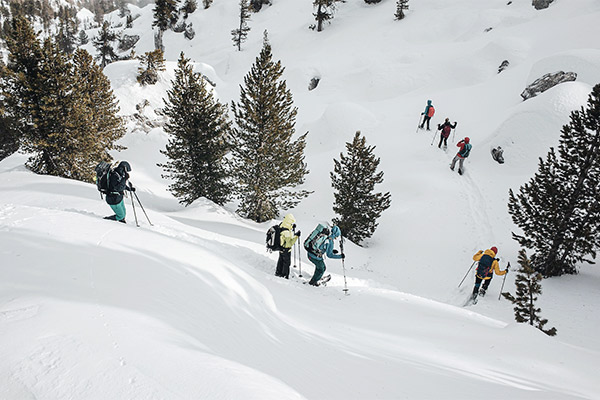 Abstieg durch Tannen, Dolomiten