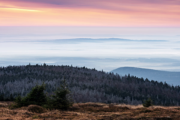 Blick vom Brocken über Harz Gebirge, Deutschland