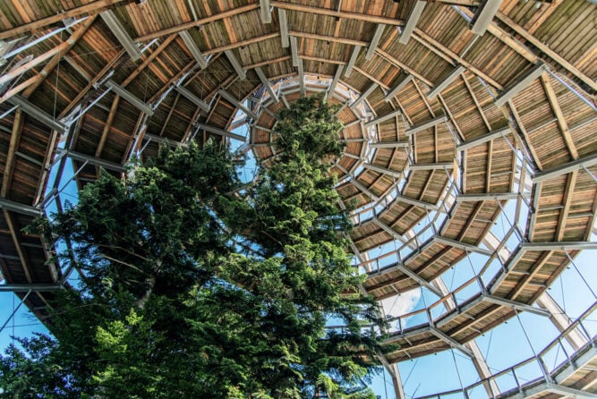 Hölzerner Wendelsteig auf dem Baumwipfel, Deutschland.