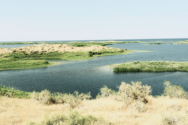 Aydarsee vor grünen Ufern in Usbekistan