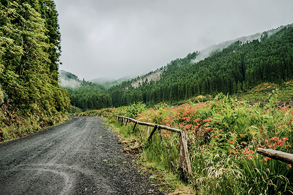 Wanderweg zum Pico da Vara