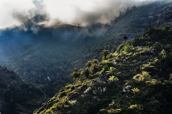 Barranco de Monteforte, La Gomera