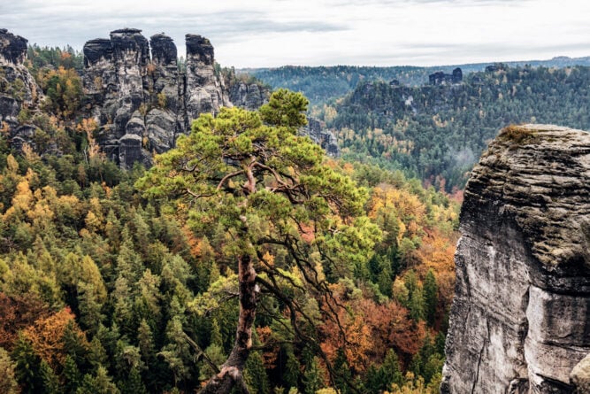 Die Bastei in der Sächsischen Schweiz, Deutschland.