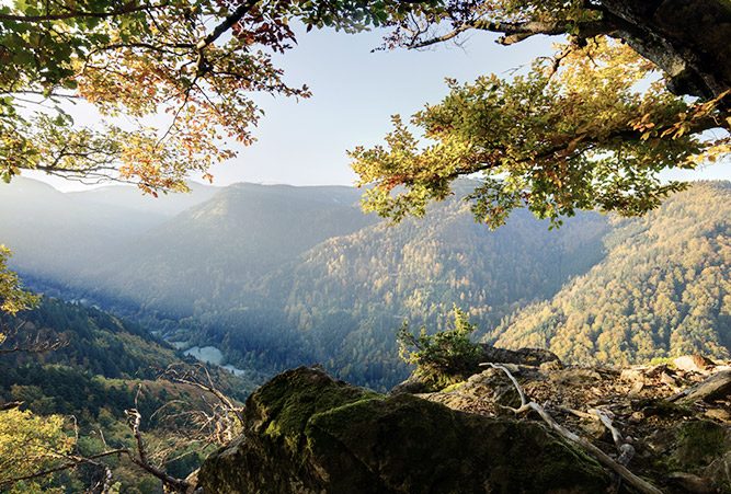 Aussicht im Schwarzwald Nationalpark, Deutschland