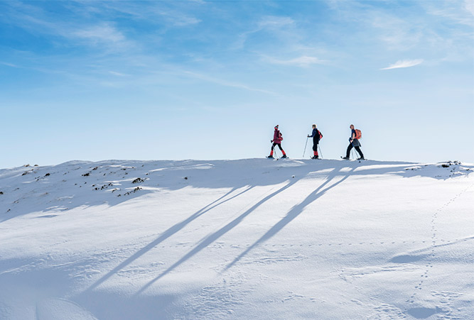 Drei Schneeschuhgeher auf Anhöhe