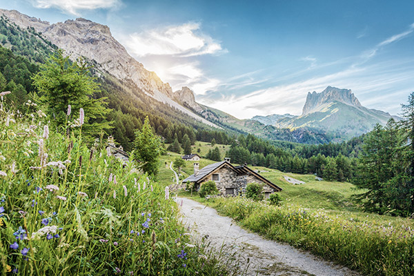 Berghütte hinter Blumen, Italien