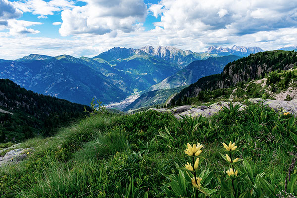 Blick auf den imposanten Latemar der Lagorai-Kette