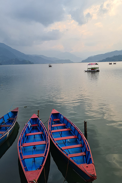 Boote am Phewa See in Pokhara, Nepal