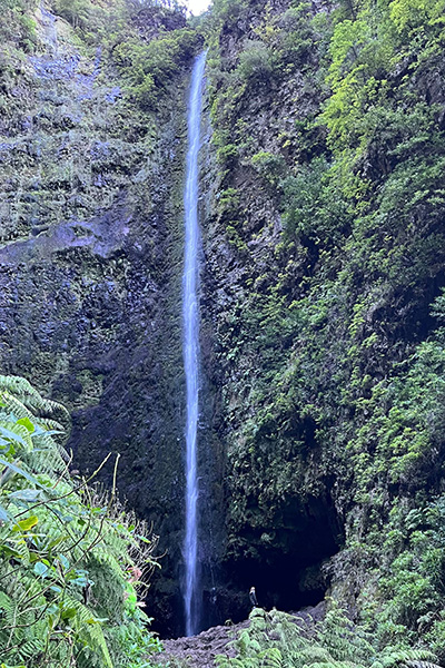 Levada do Caldeirão Verde, Madeira