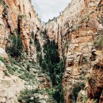 Eine Schlucht im Zion-Nationalpark. © Carl Nenzen Loven