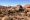 Cederberge, Suedafrika