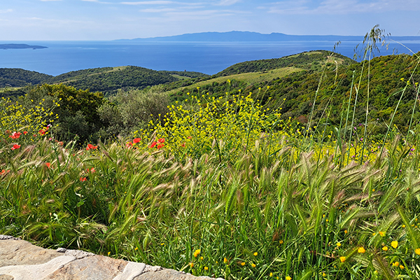 Die wunderschöne Landschaft Chalkidikis