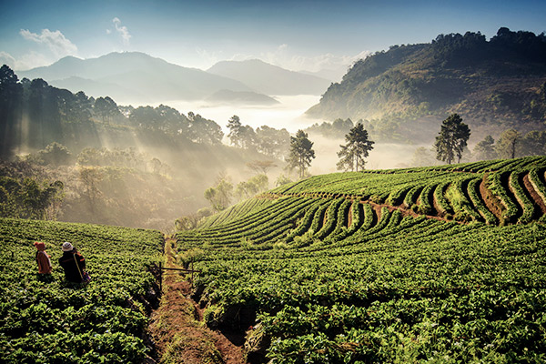 Berglandschaft Chiang Mai, Thailand